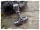Thors Hammer mit Triquetta