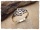 Schmaler Ring mit keltischen Knoten 58/18.5