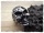 Ring "Totenkopf" aus Edelstahl US15/73